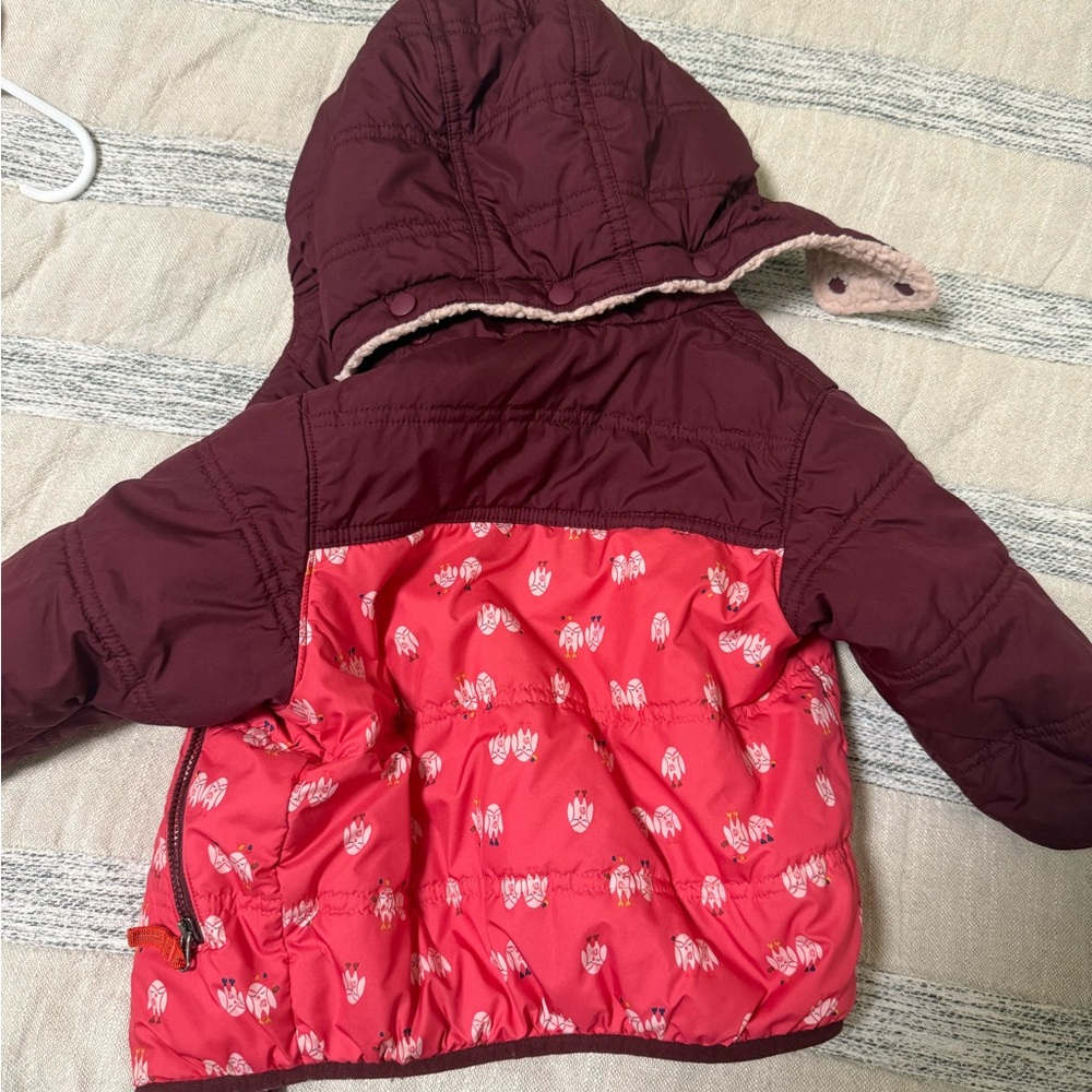 Patagonia Maroon and Coral Puffer Jacket 12-18 months dog friendly home!